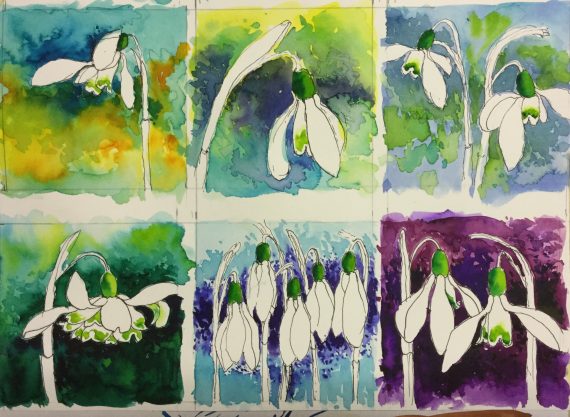 A SELECTION OF SNOWDROPS
